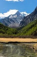 麻豆91国产视频-麻豆91，国产视频内容争议与探讨